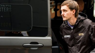 Mezii Team Vitality: donk пен NiKo туралы қай жағынан жақсы екенін атады